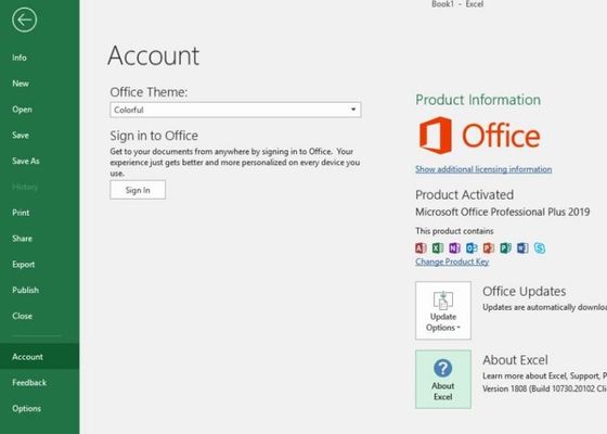 Δεσμευτικός το βασικό FPP PKC Microsoft Office 2019 γραφείο προϊόντων υπέρ συν το κλειδί του 2019